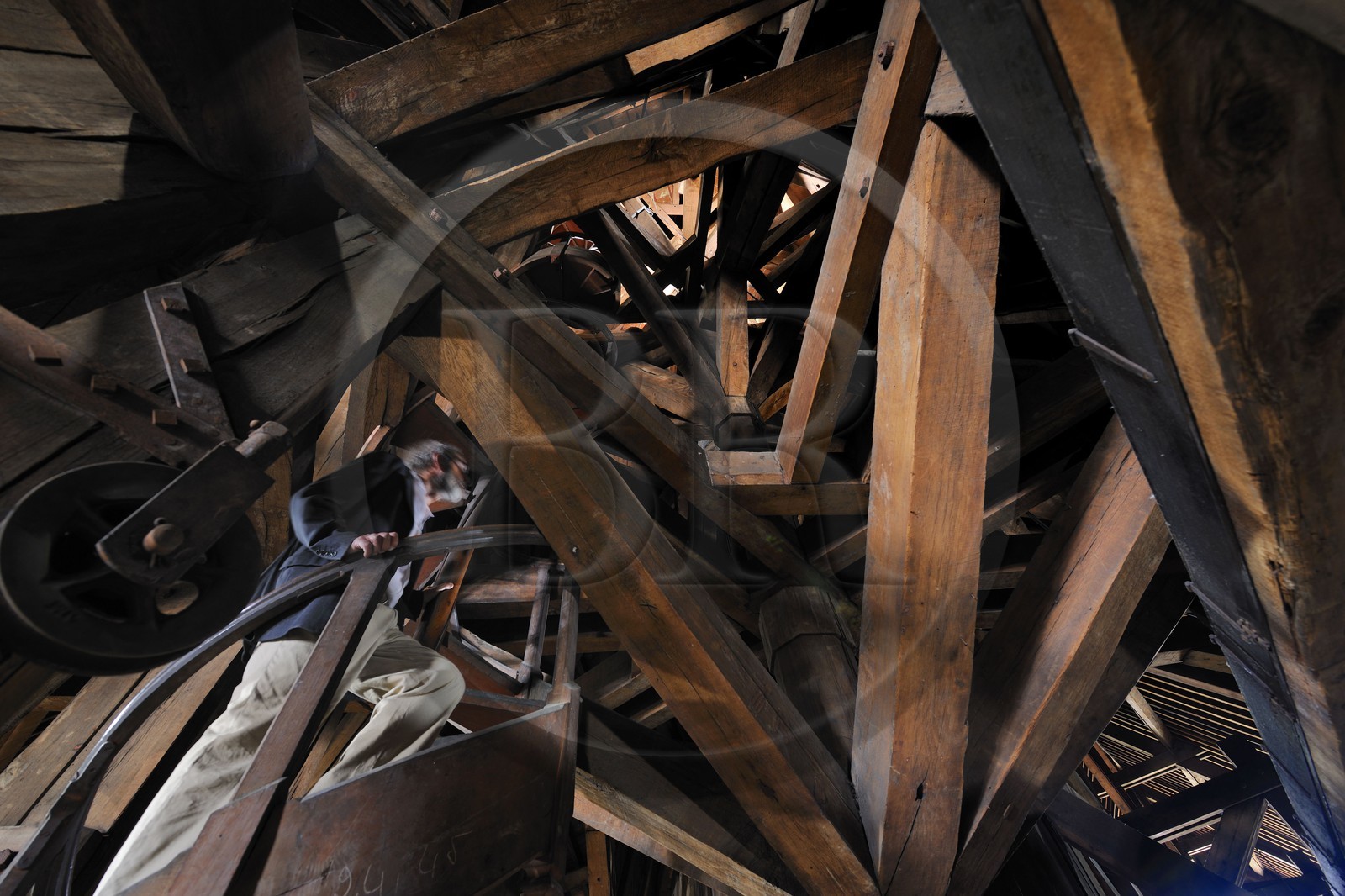 France, Paris (75), île de la Cité, la cathédrale Notre-Dame, la charpente appelée la forêt