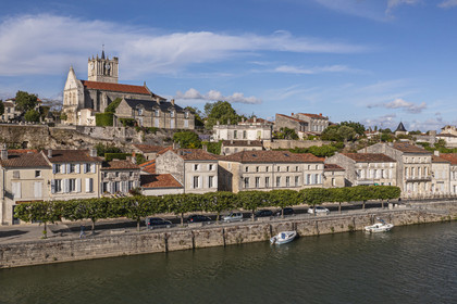 France, Charente-Maritime (17), Saintonge, Saint-Savinien, labellisé Villages de pierres et d'eau, le village au bord de la Charente (vue aérienne)