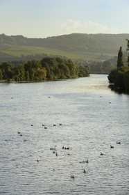 Luxembourg, district de Grevenmacher, région de la Moselle, Remich, la rivière Moselle marque la frontière entre l'Allemagne à gauche et le Luxembourg à droite