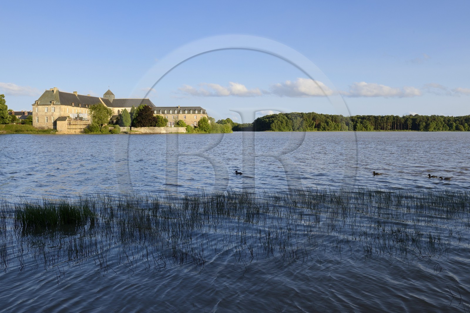 France, Ille-et-Vilaine, forest of Broceliande, the abbey of Paimpont on the edge of the pond
