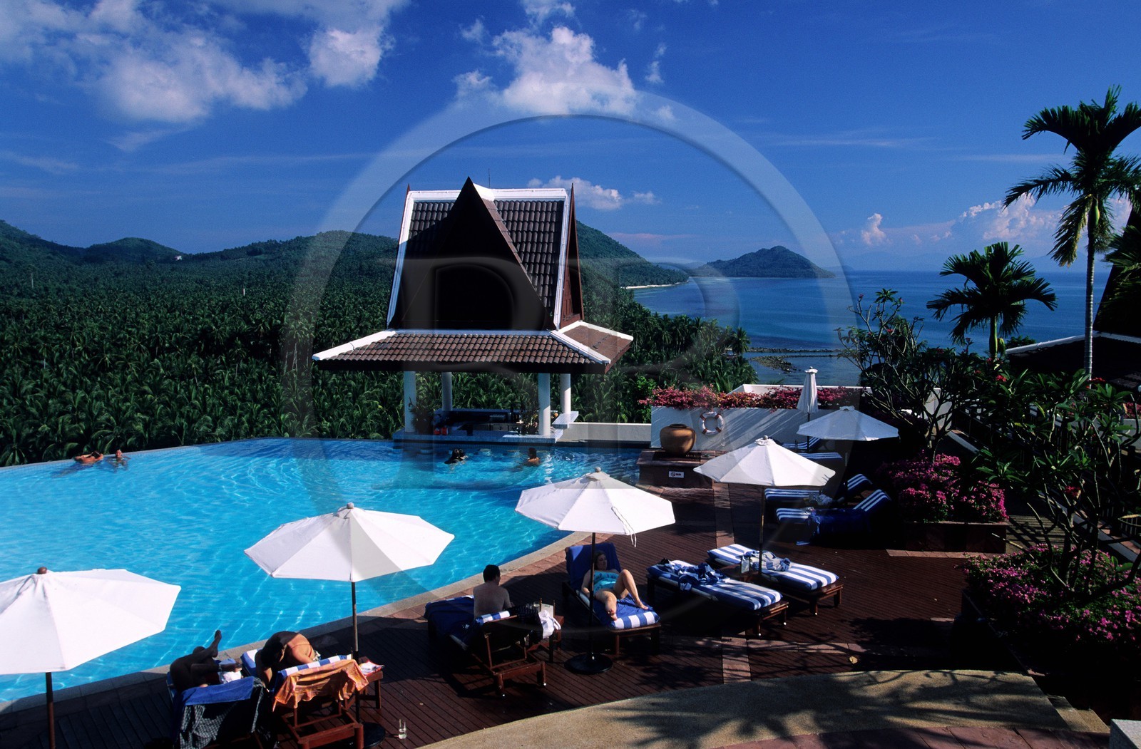 Thaïlande, golfe de Siam, île de Ko Samui, la piscine de l' hôtel le Royal Méridien