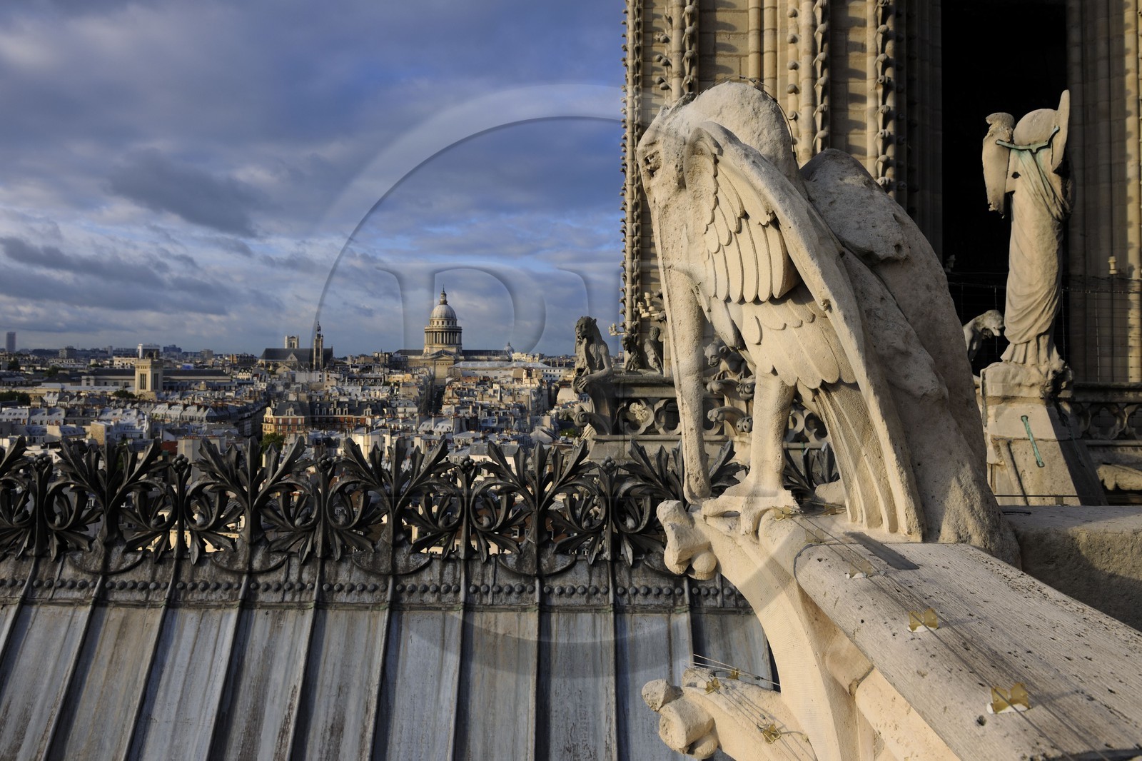 France, Paris, ile de la Cite, Notre-Dame Cathedral, the chimeras observe the city, the male pelican and the Pantheon