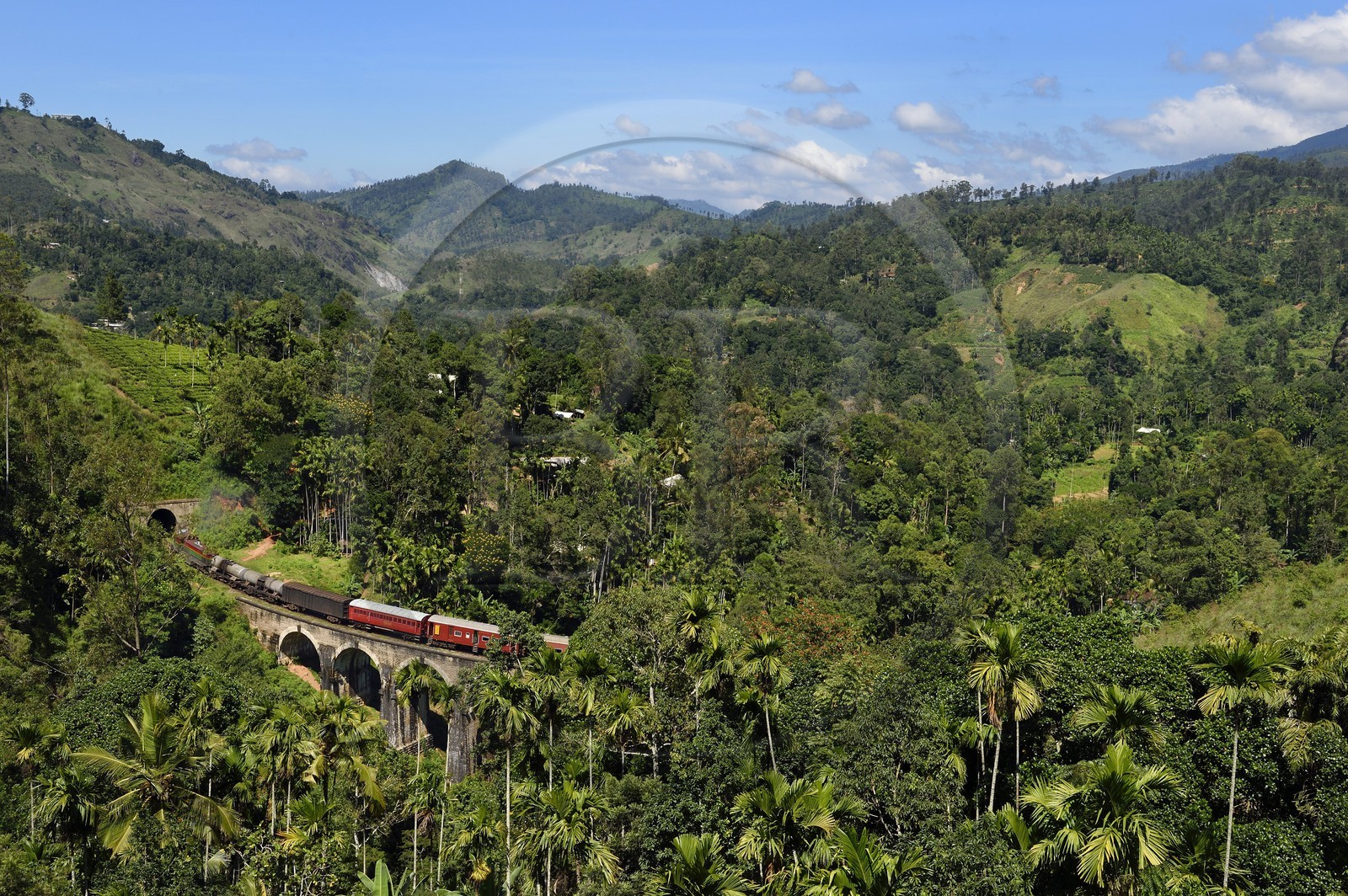 Sri Lanka, Uva Province, train on the railway track that goes through the tea growing hill country between Badulla and Ella, the Nine Arches bridge (1921) next to Ella