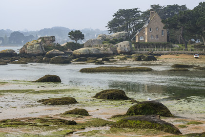 France, Côtes-d'Armor (22), Côte de Granit Rose, Trégastel, Ile Renote, la plage à marée basse