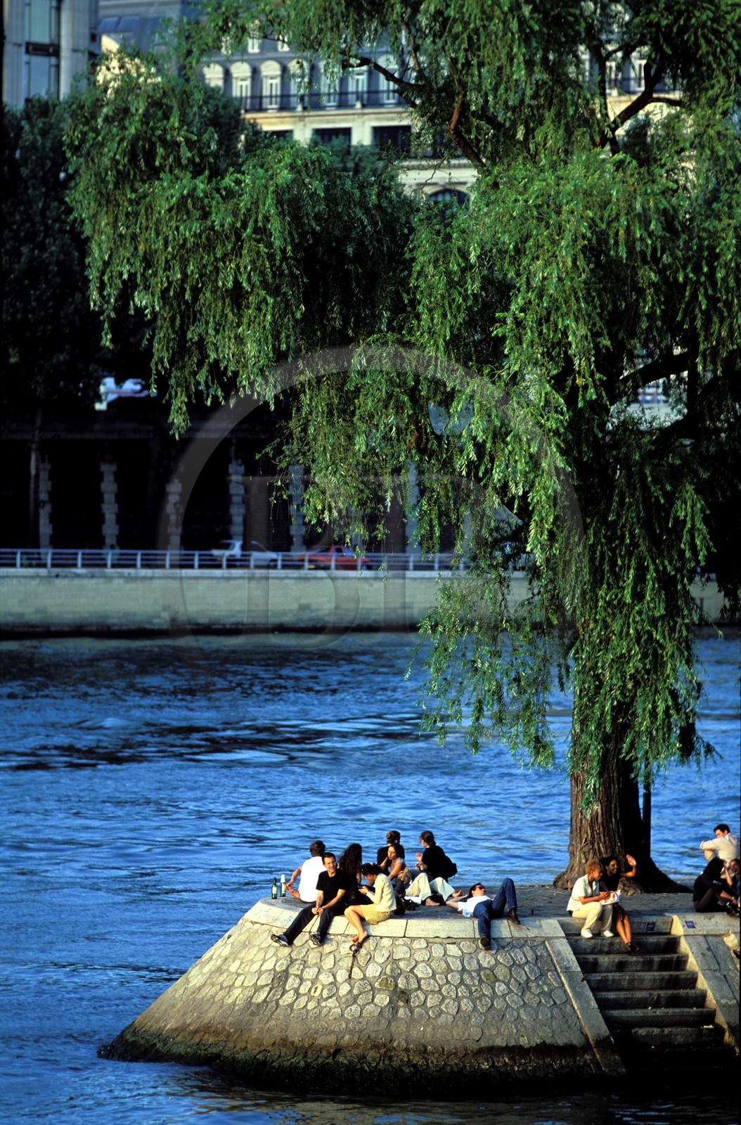 France, Paris (75), les rives de la Seine, classées Patrimoine Mondial de l'UNESCO, derniers rayons de soleil sur la pointe de l' île de la Cité