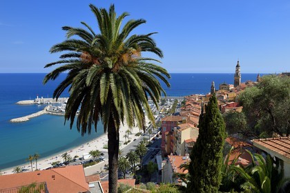 France, Alpes-Maritimes (06), Menton, la vieille ville dominée par la Basilique Saint Michel