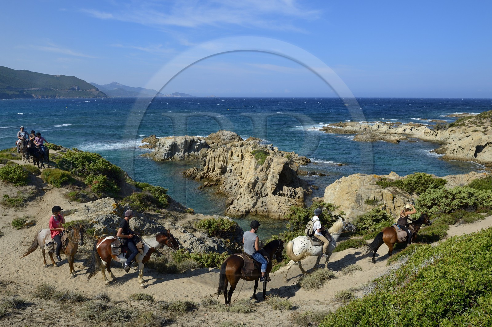 France, Haute-Corse (2B), Nebbio, désert des Agriates, Anse de Peraiola, cavaliers à l'Est de la plage d'Ostriconi