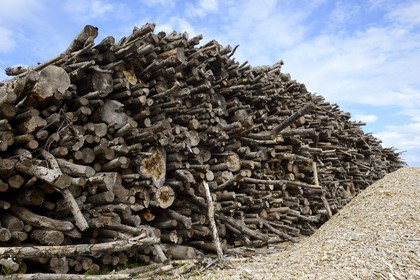 Suède, Comté de Vasterbotten, Holmsund port maritime d'Umea, stères de bois sur le port