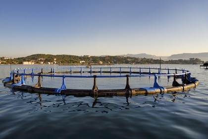 France, Var (83), La Seyne-sur-Mer, pisciculture dans la baie de Tamaris