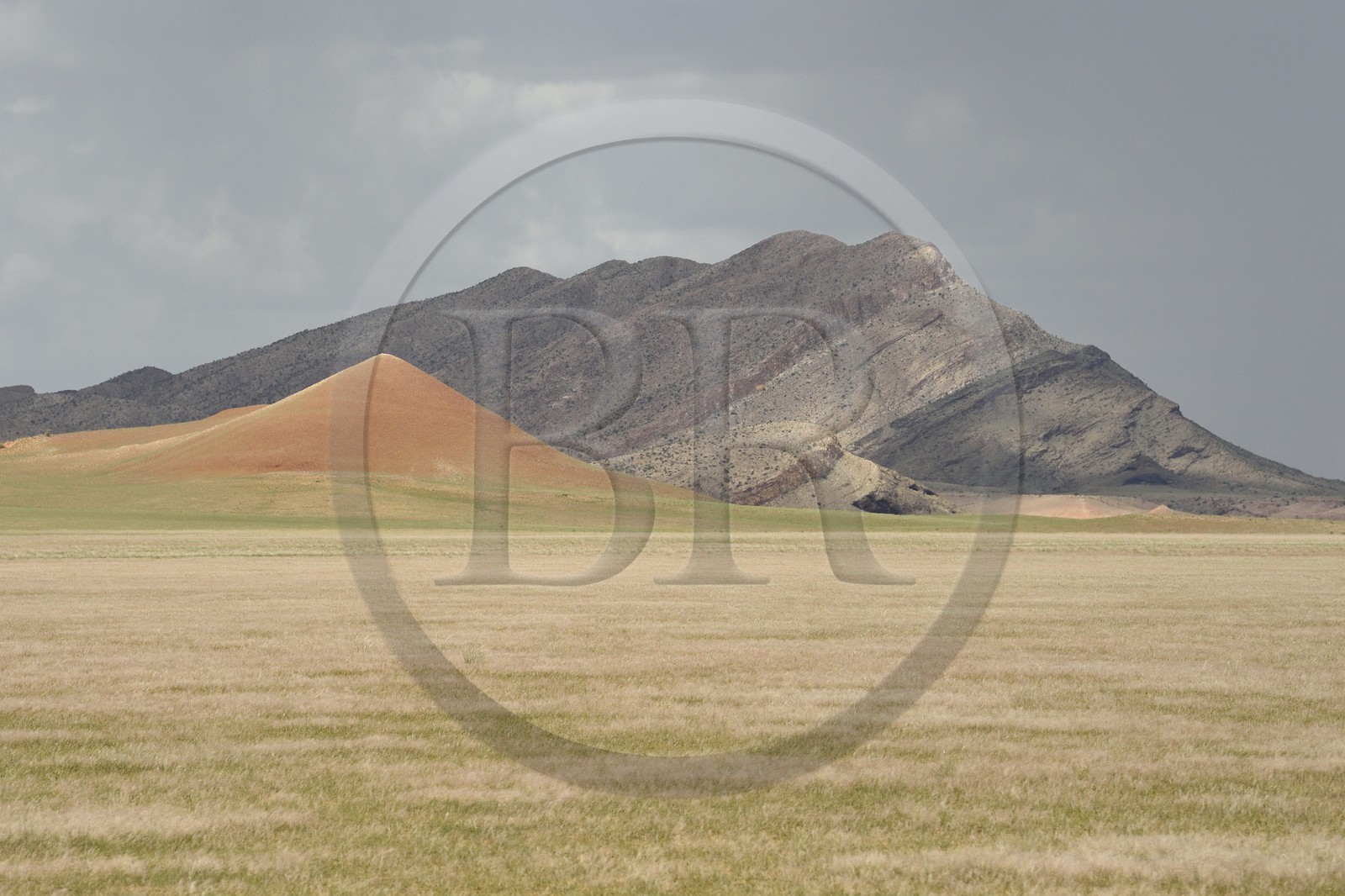 Namibie, région de Erongo, désert du Namib en bordure du parc national Namib Naukluft