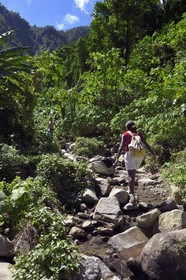 Caraïbes, Ile de la Dominique, randonneurs sur le segment 13 du Waitukubuli National Trail dans le nord de l'île entre Pennville et Capuchin