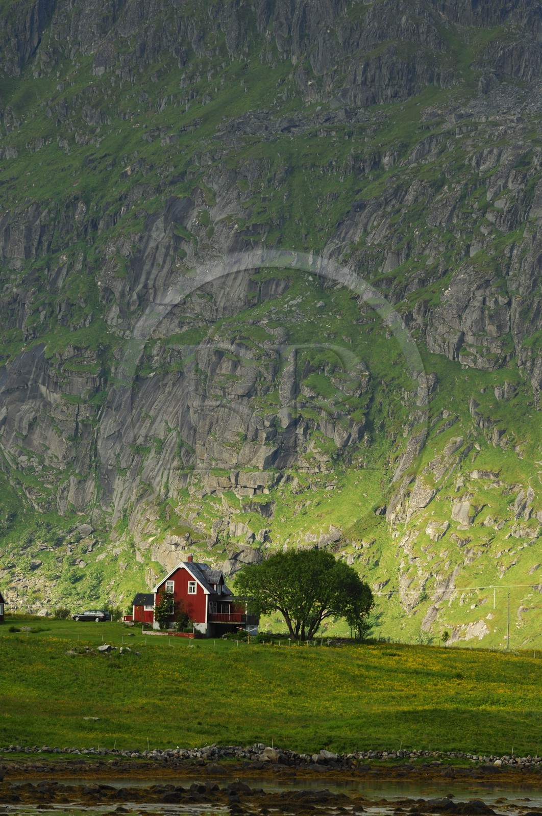 Norway, Nordland County, Lofoten Islands, Flakstad island, small farm
