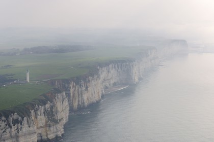 France, Seine-Maritime (76), Pays de Caux, Côte d'Albâtre, troupeau de vaches le long des falaises au sud d' Etretat (vue aérienne)