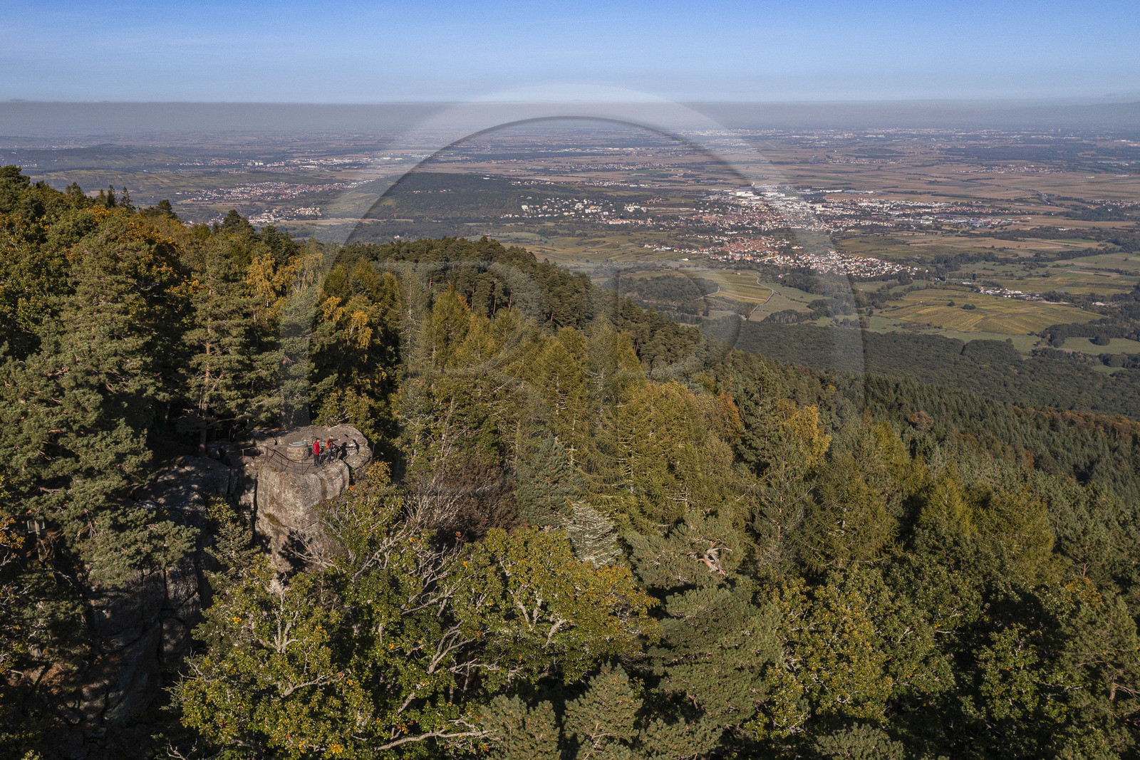 France, Bas Rhin, Mont Saint Odile, hiking the chemins des Chateaux-forts d'Alsace (paths of the castles of Alsace), the Maennelstein rock on the edge of the Mur Paien, a rocky outcrop in sandstone some fifteen meters high which overlooks the plain of Alsace at 817 m (aerial view)