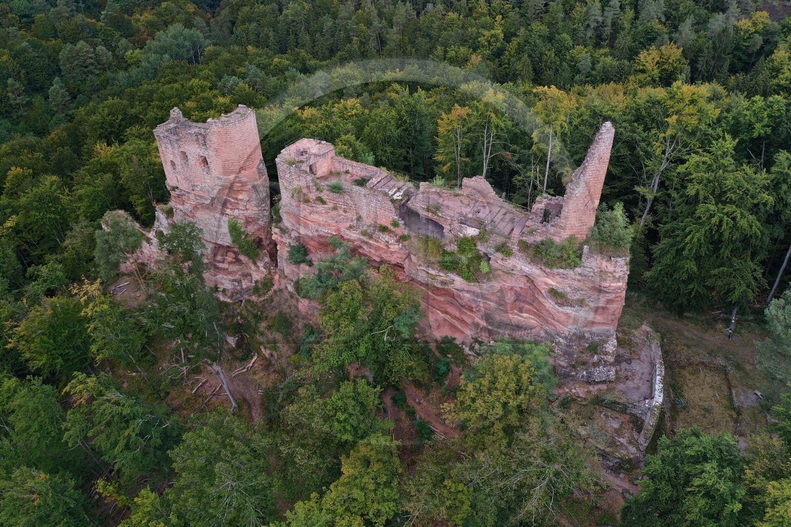 France, Bas-Rhin (67), Parc naturel r