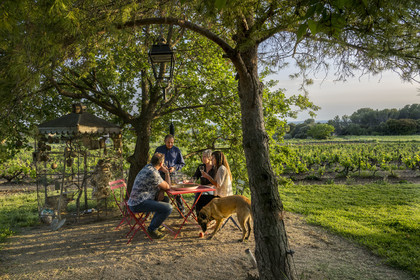 France, Vaucluse (84), Dentelles de Montmirail, Beaumes-de-Venise, Mas de l’Evajade, la maison d’hôtes vigneronne de Corinne et Pascal Bernard