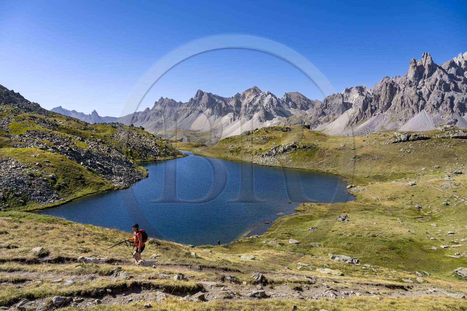 France, Hautes Alpes (05), le Briançonnais, Névache, haute vallée de la Clarée, randonneuse avec ses chiens au lac Long à une altitude de 2387m, le massif des Cerces en arrière-plan