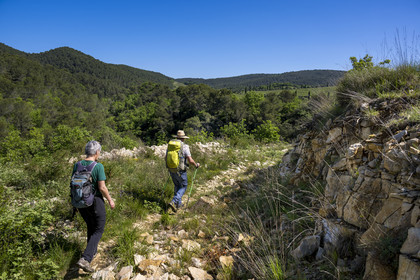 France, Vaucluse (84), Dentelles de Montmirail, Gigondas, randonneurs sur un sentier au coeur du massif en direction du Pas de l'Aigle