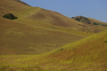 Etats-Unis, Californie, paysage de la Central Coast Region