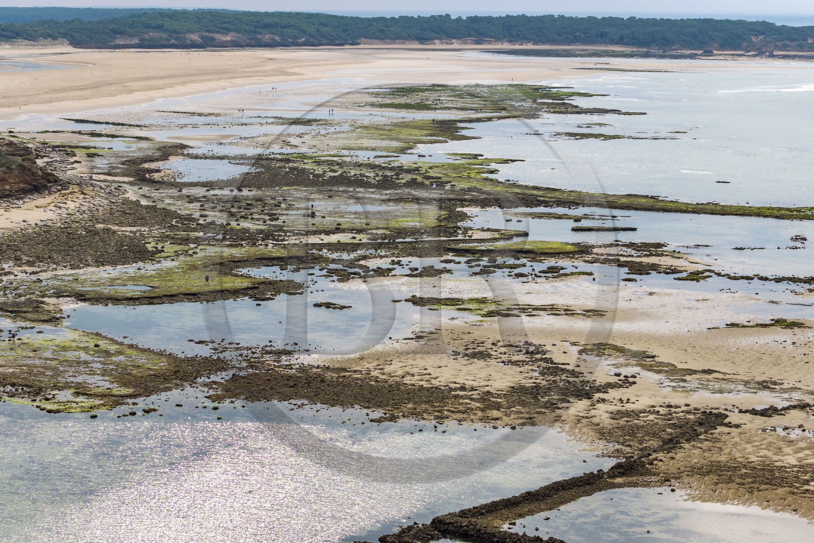 France, Vendée (85), Talmont-Saint-Hilaire, murs de la pêcherie en ruine sur l'estran du Veillon et la Pointe du Payré en arrière plan (vue aérienne)