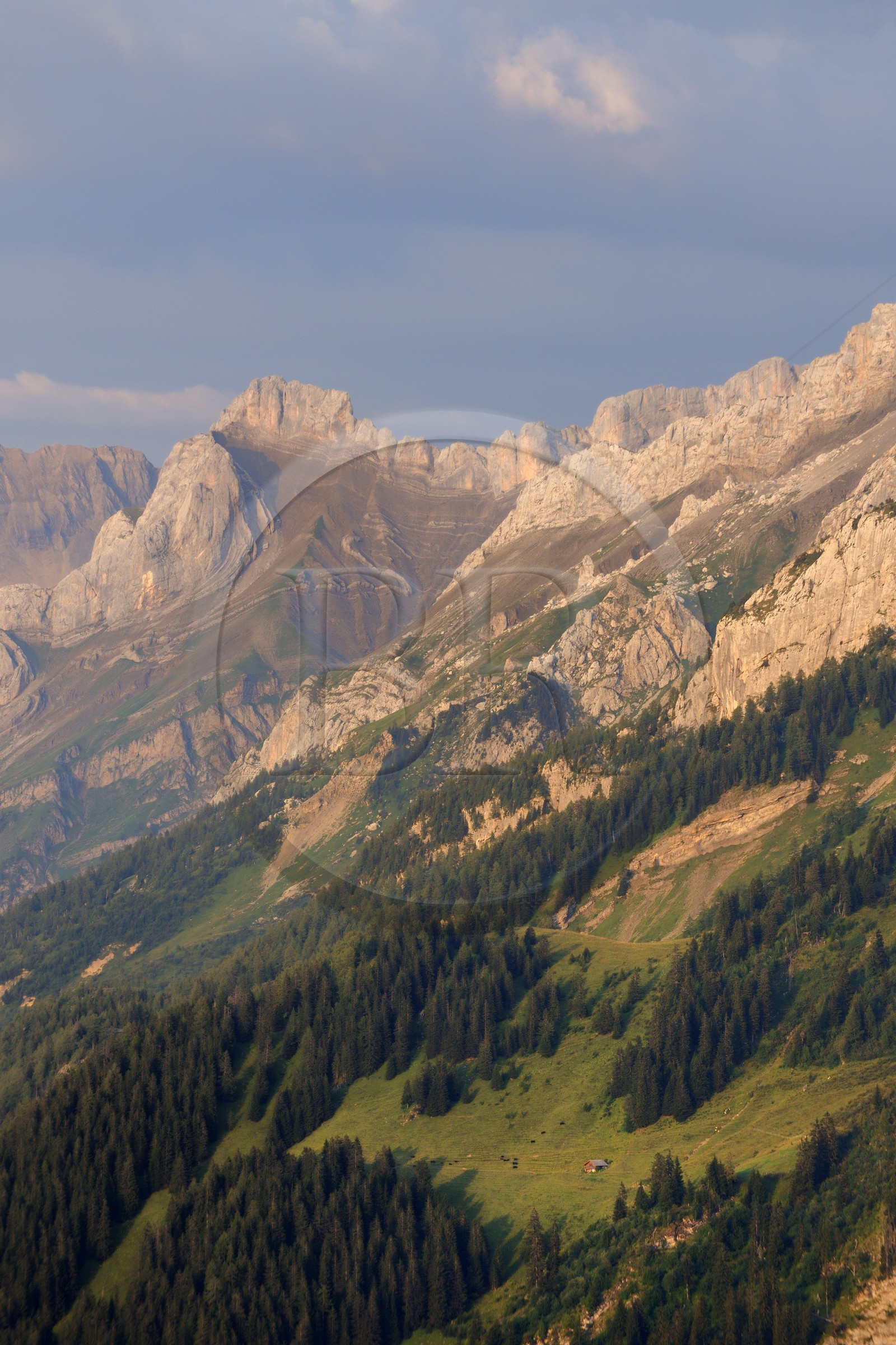 Switzerland, canton of Vaud, Les Diablerets at Col de la Croix