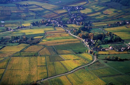 France, Saone et Loire, Chalon sur Saone area vineyards and Saint Vallerin village (aerial view)