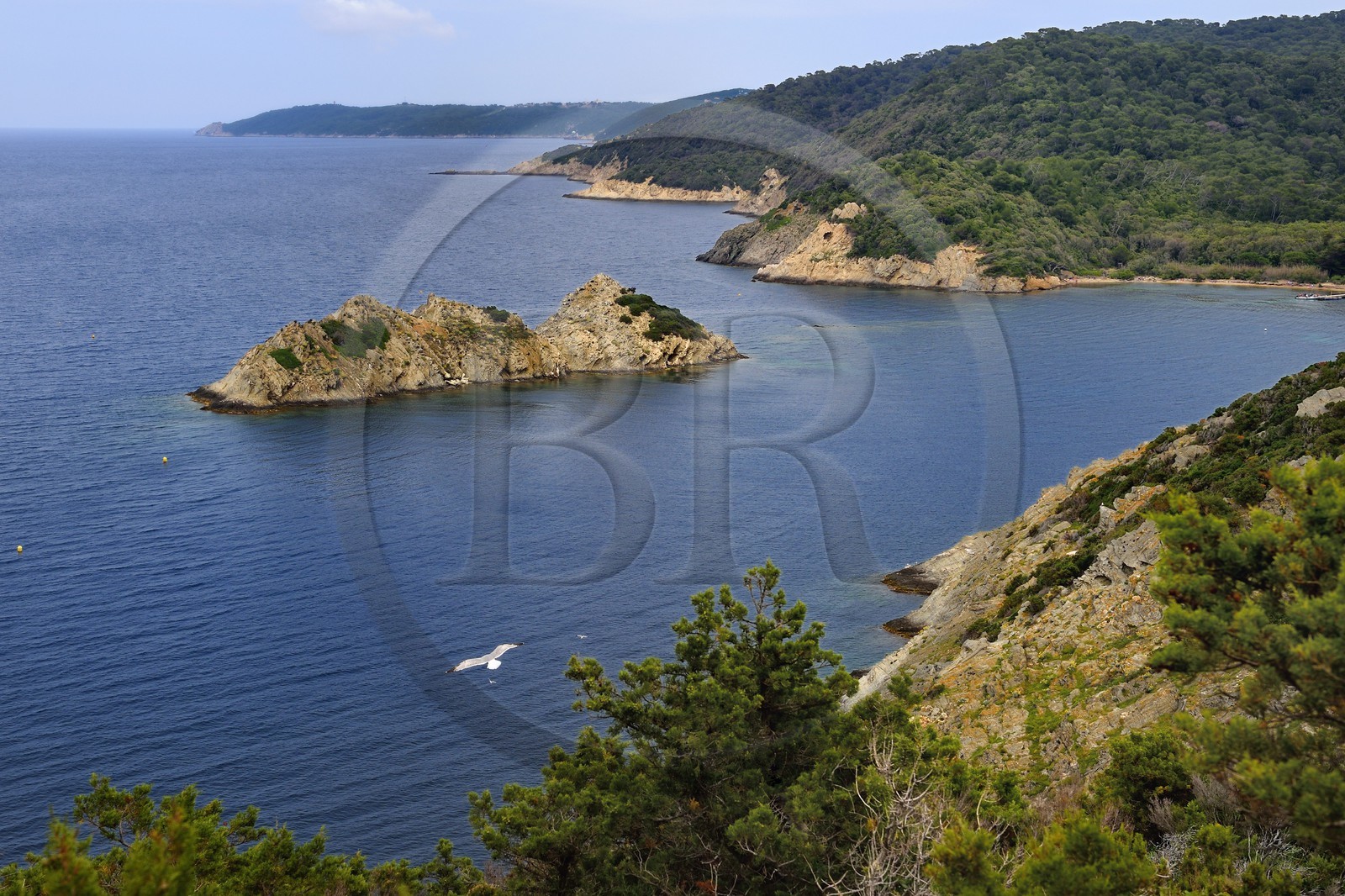France, Var (83), Iles d'Hyères, Parc national de Port Cros, Ile de Port-Cros, plage de la Palud, le rocher du Rascas