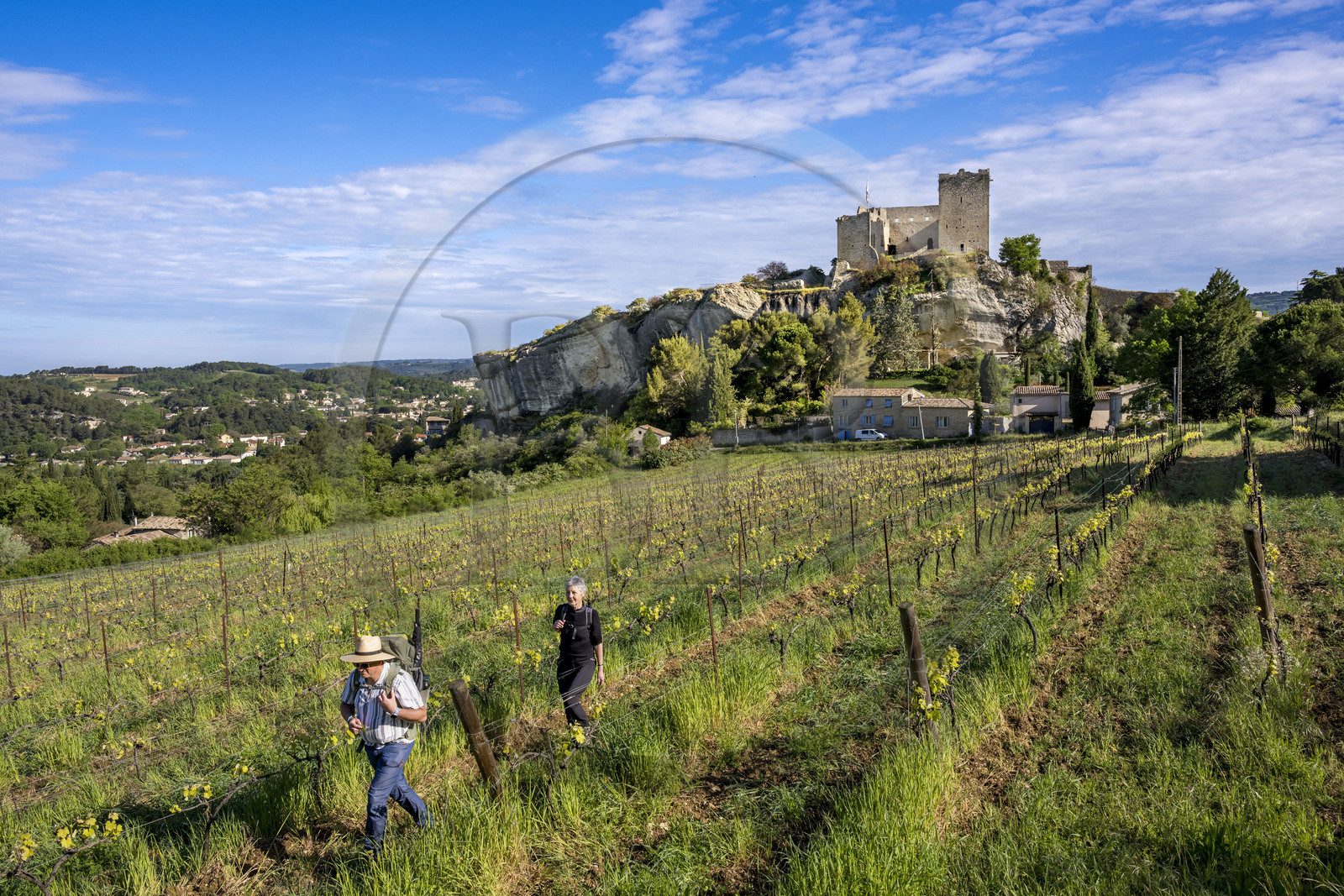 France, Vaucluse (84), Dentelles de Montmirail, Vaison-la-Romaine, le chateau des Comtes de Toulouse construit au XIIe siècle au sommet de la cité médiévale, randonneurs dans les vignes