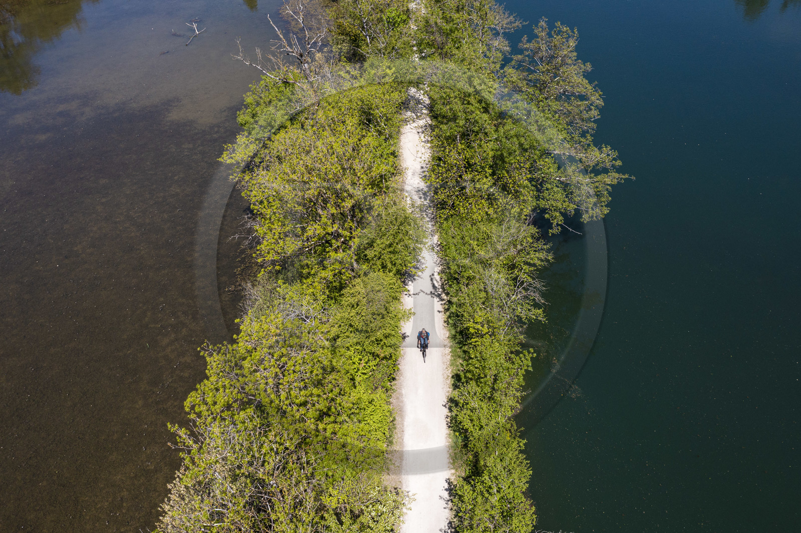 France, Charente (16), Fléac, une cycliste progresse entre deux bras de la Charente sur l'ancien chemin de halage devenu la véloroute La Flow Vélo (vue aérienne)