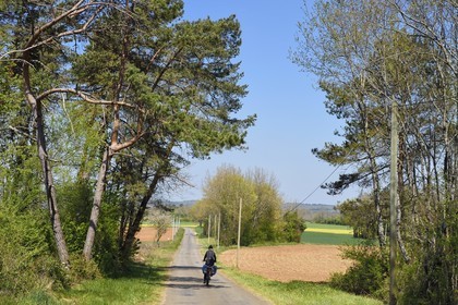 France, Charente (16), Souffrignac, cyclistes sur la véloroute la Flow Vélo, route de campagne