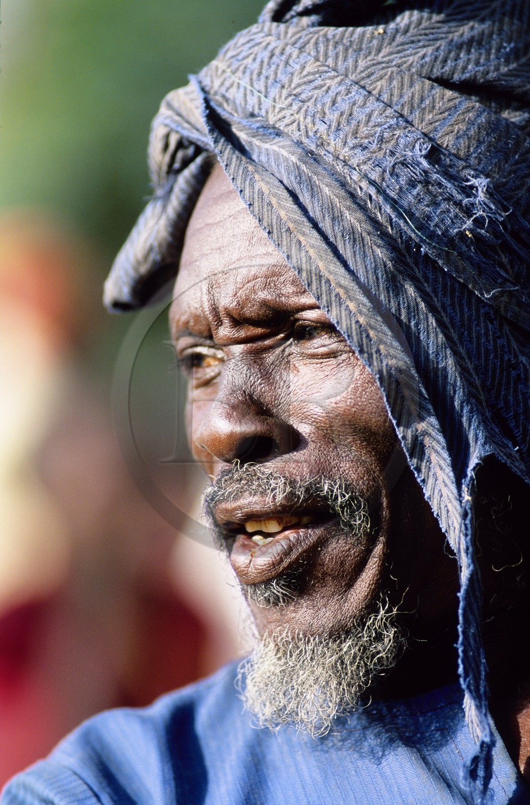 Mali, pays Dogon, falaise de Bandiagara classée Patrimoine Mondial de l'UNESCO, un ancien (village de Tereli)