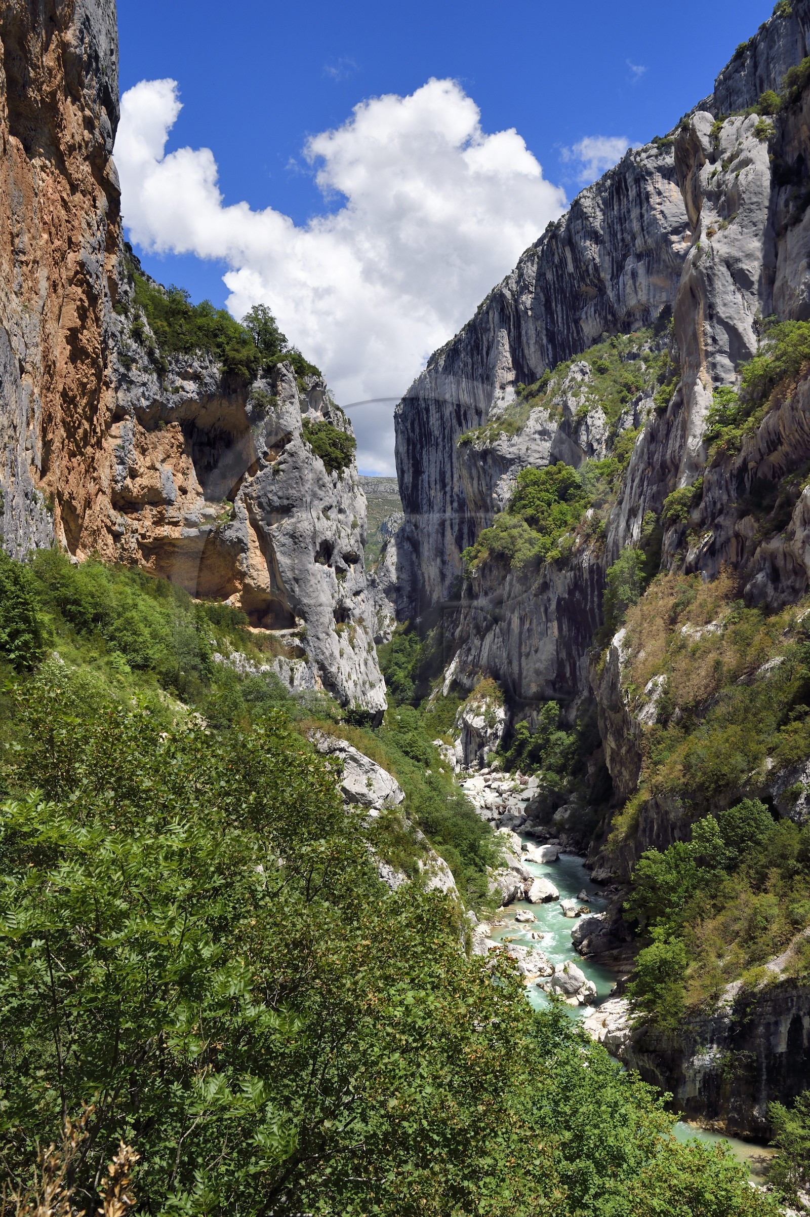 France, Alpes-de-Haute-Provence (04), Parc Naturel Régional du Verdon, Rougon, Grand Canyon du Verdon, la rivière du Verdon dans le couloir Samson, vu depuis le sentier Blanc-Martel sur le GR4