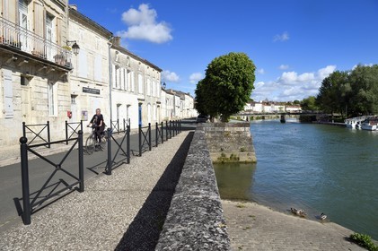 France, Charente-Maritime (17), Saintonge, Saint-Savinien,  labellisé Villages de pierres et d'eau, cycliste faisant la véloroute La Flow Vélo sur les quais de la Charente