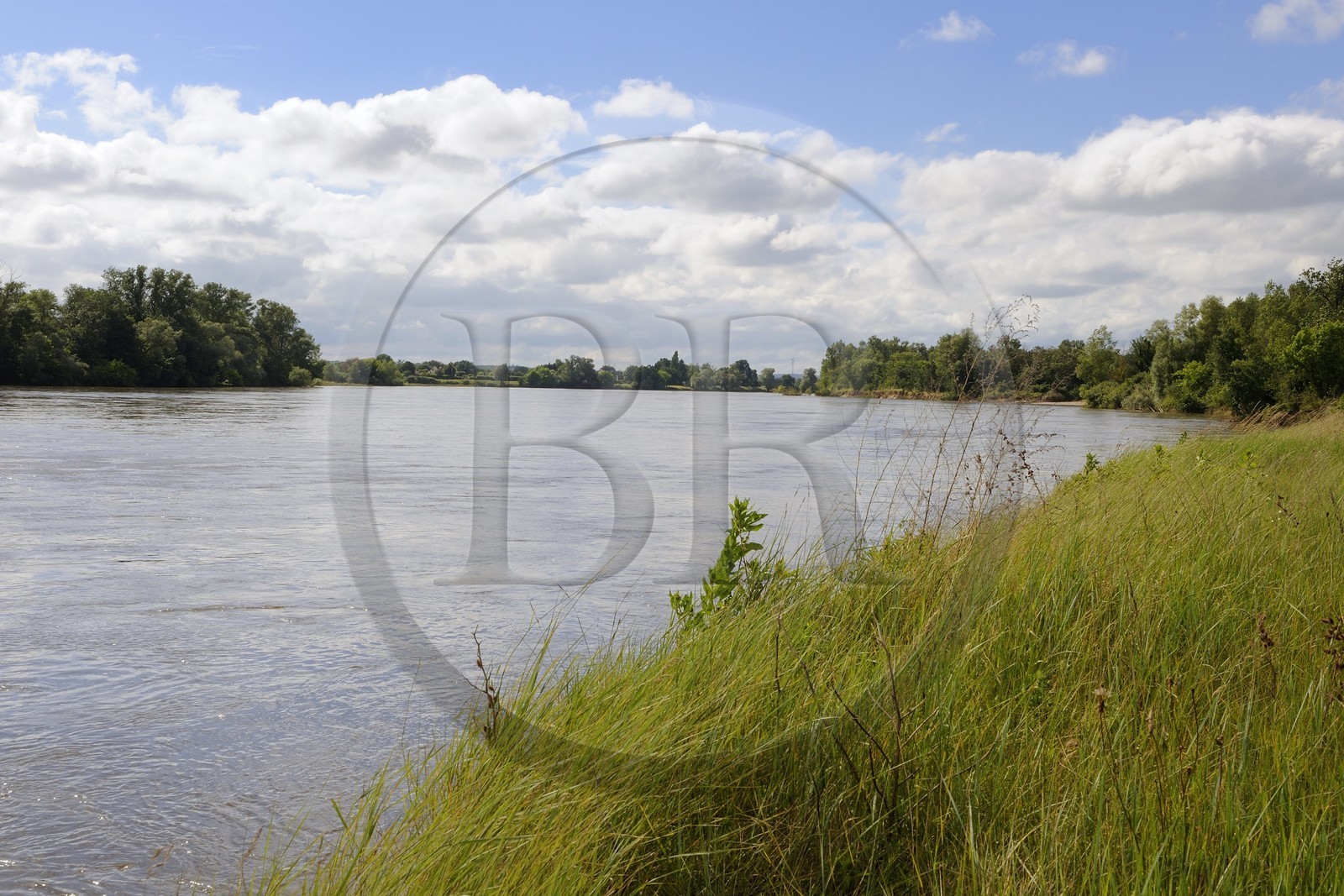 France, Nièvre (58), La Charité-sur-Loire, les bords de Loire le long du sentier du castor