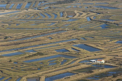 France, Charente-Maritime (17), Ile d'Oléron, côte est au nord de Château-d'Oléron, entre marais et parcs à huitres (vue aérienne)