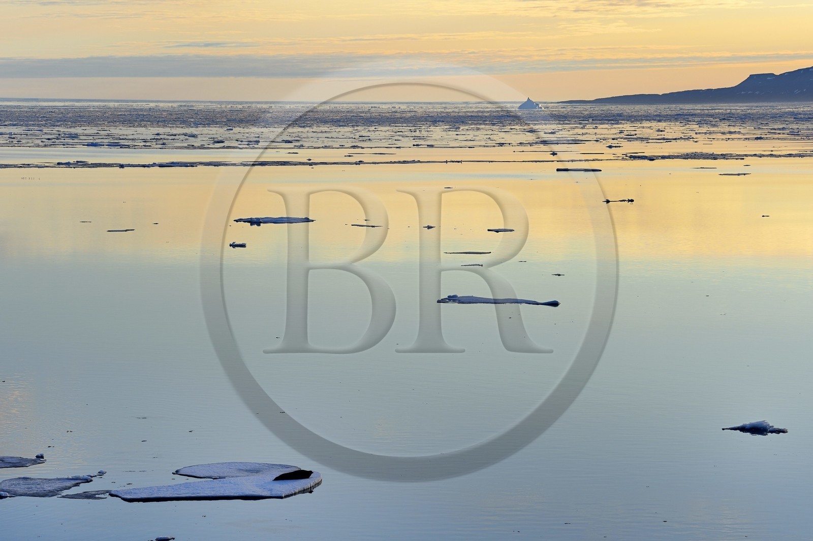 Groenland, cote Nord-Ouest, Smith sound au nord de la baie de Baffin à Inglefield Land, phoque barbu (Erignathus barbatus) allongé sur un morceaux de glace de la banquise arctique