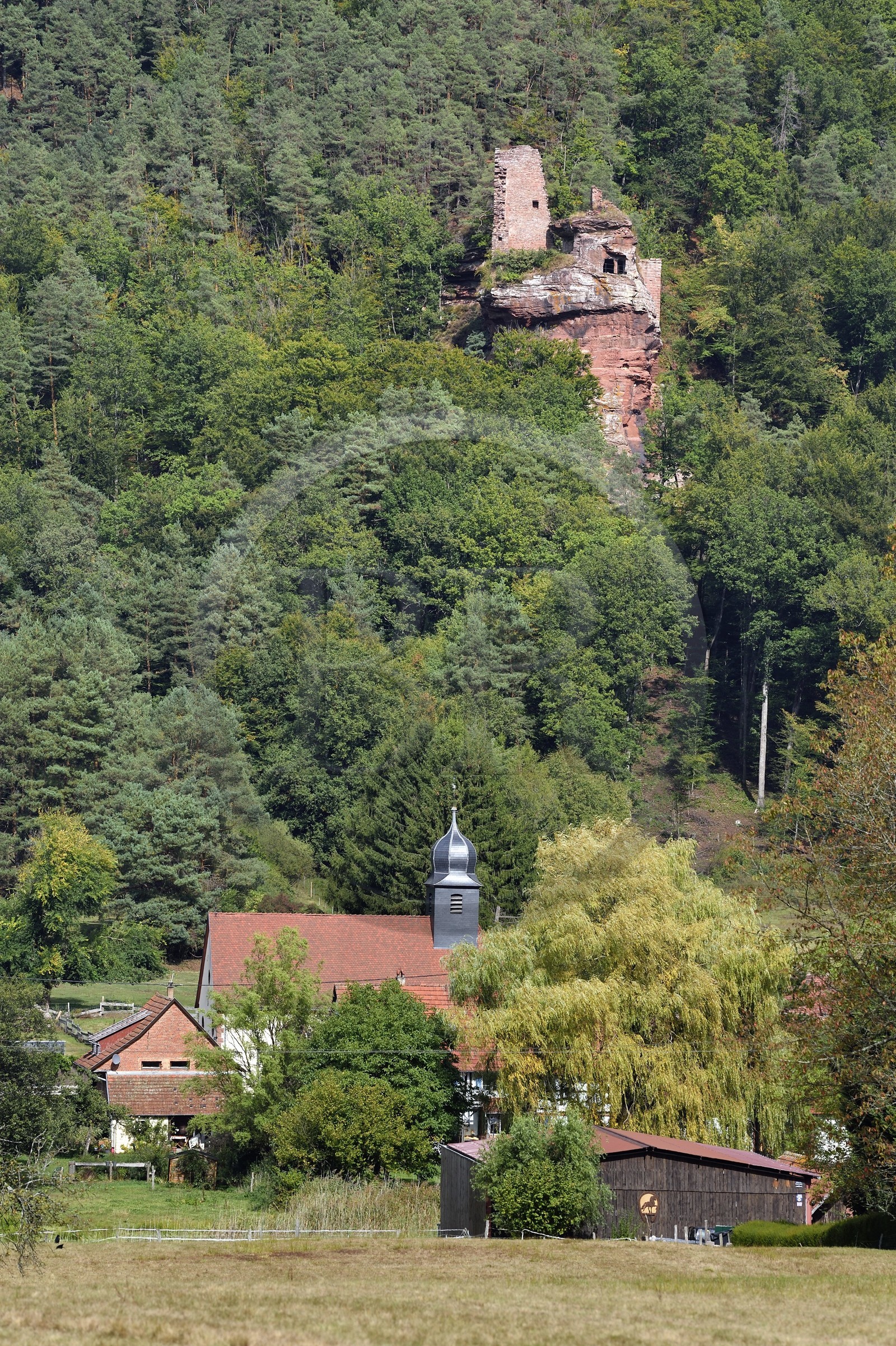 France, Bas Rhin, Northern Vosges Regional Natural Park, Obersteinbach, Klein Arnsberg Castle ruins overlooking the village