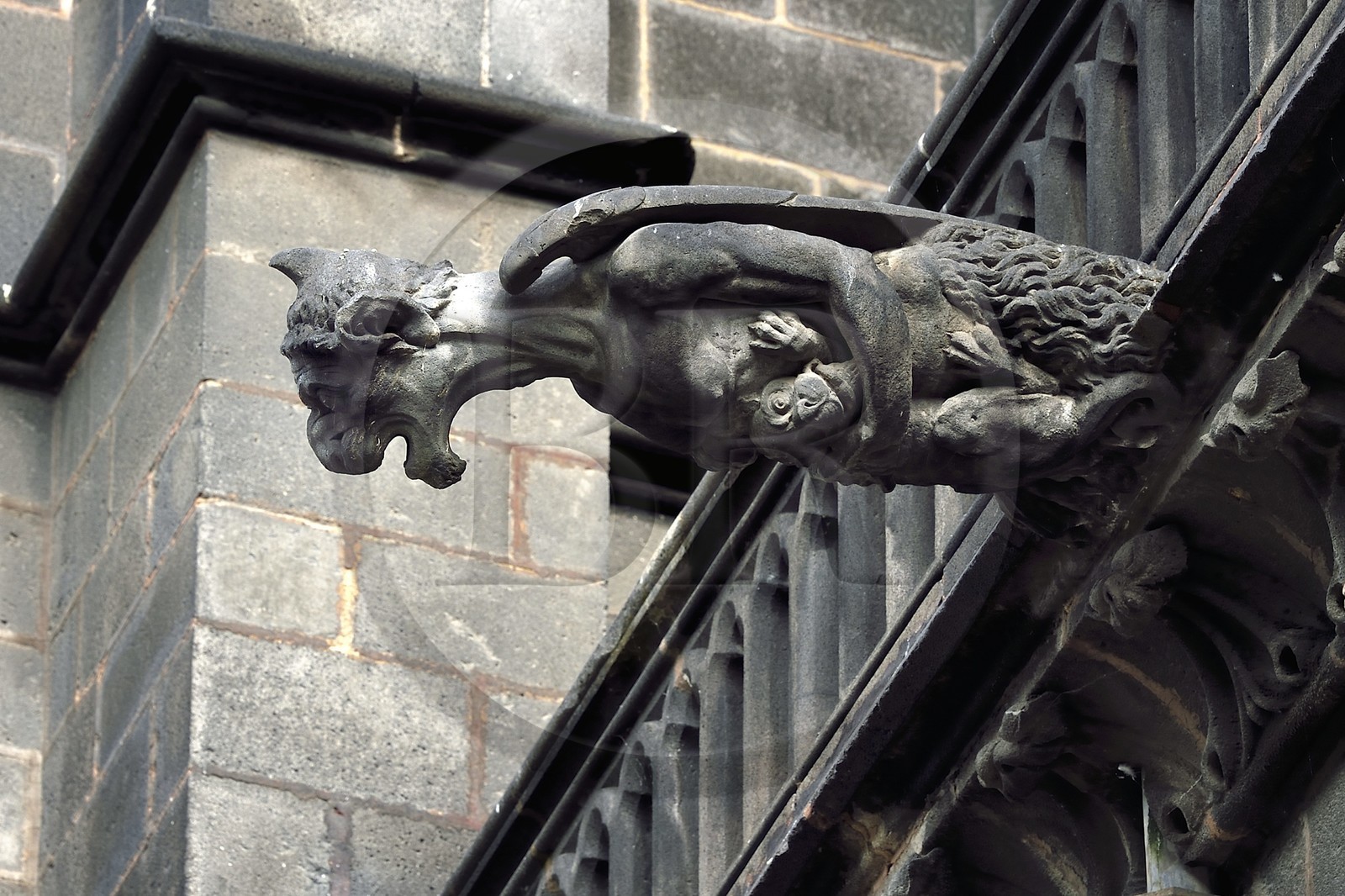 France, Puy-de-Dôme (63), Clermont-Ferrand, cathédrale Notre-Dame de l'Assomption du XIIIe siècle, gargouilles
