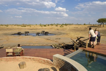 Zimbabwe, province de Matabeleland septentrional, parc national Hwange, Somalisa Camp de African Bush Camps, observation des éléphants venus boire en bordure du lodge