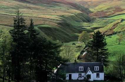 Royaume-Uni, Ecosse, région des Borders, ferme dans la lande