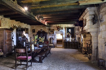 France, Dordogne (24), Périgord Noir, vallée de la Vézère, Tursac, maison fortifiée troglodytique de Reignac du XVIe siècle