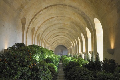 France, Yvelines (78), château de Versailles, classé Patrimoine Mondial de l'UNESCO, l'Orangerie en hiver de Jules Hardouin-Mansart