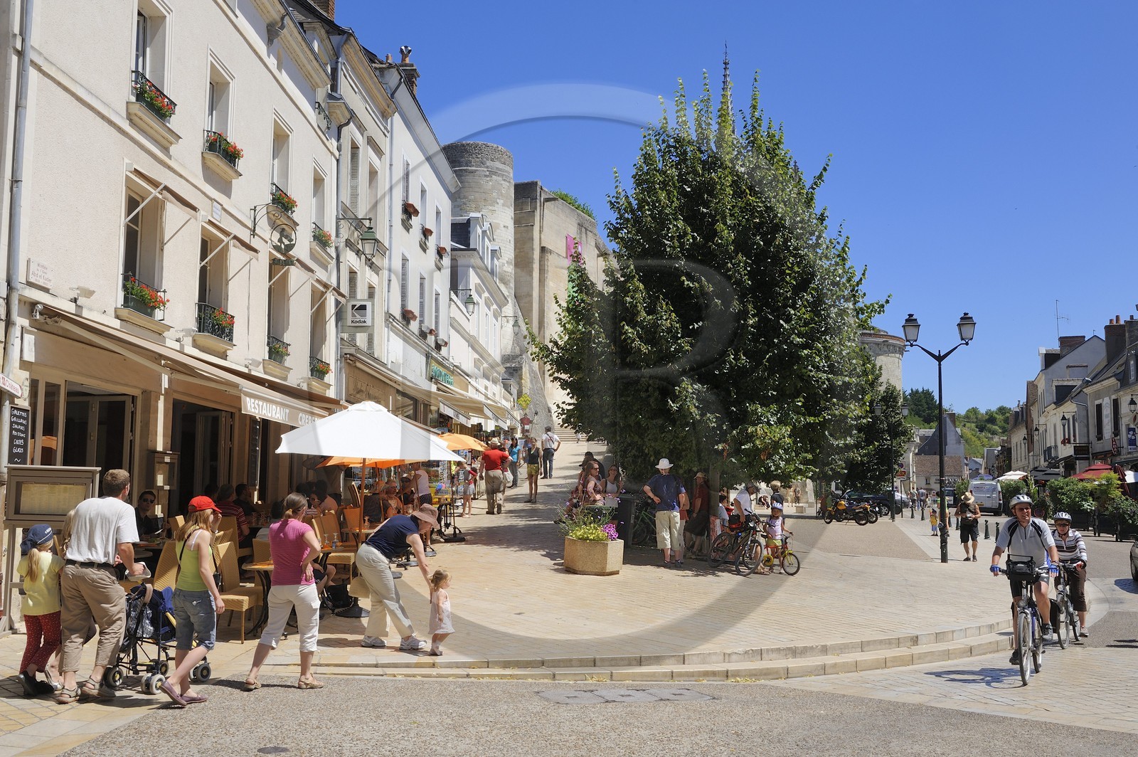 France, Indre et Loire (37), Vallée de la Loire classée Patrimoine mondial de l'UNESCO, Amboise