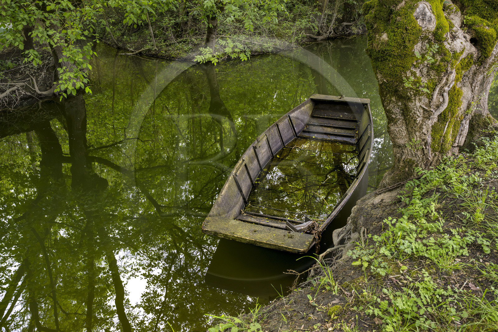 France, Vendée (85), Bouillé-Courdault, barque dans les marais sous les feuillages