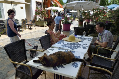 France, Vaucluse, Parc Naturel Regional du Luberon (Natural Regional Park of Luberon), Lourmarin, labelled Les Plus Beaux Villages de France (The Most Beautiful Villages of France),