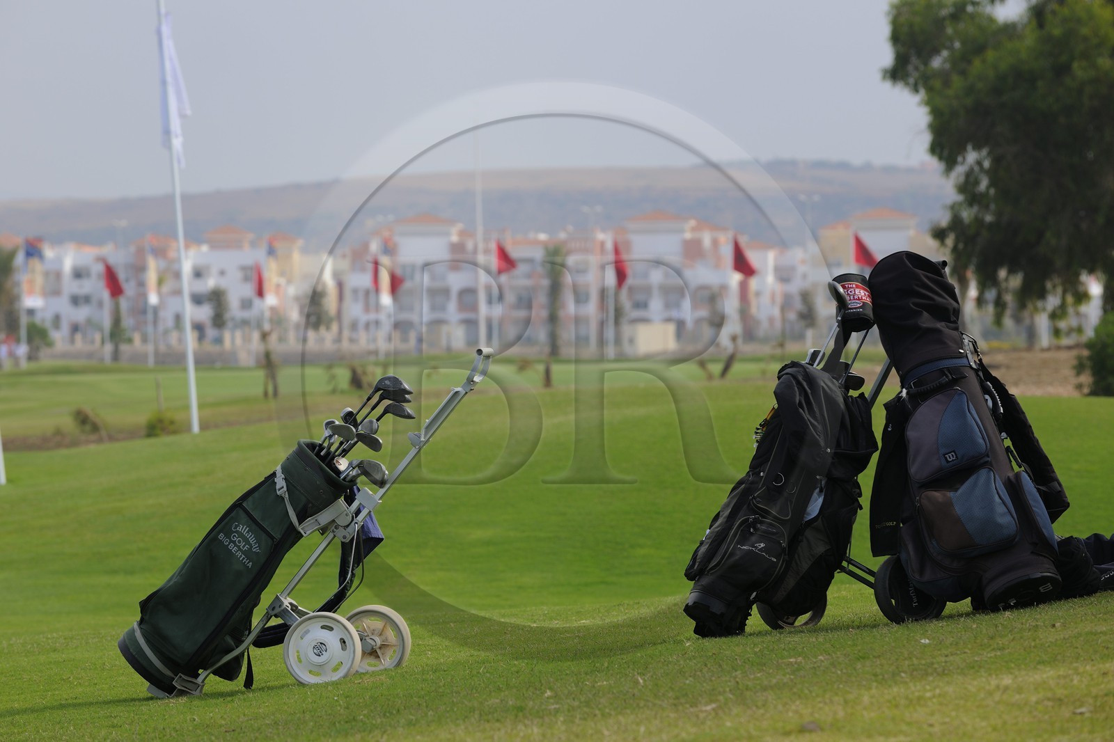 Maroc, région de l'Oriental, station balnéaire de Mediterrania Saïdia, le Palmeral Golf Saïdia