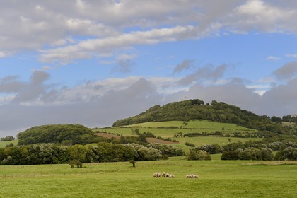 France, Meurthe-et-Moselle (54), pays du Saintois, colline de Sion-Vaudémont, la basilique Notre-Dame de Sion au sommet de la colline