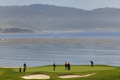 United States, California, 17 Mile Drive, golf of Pebble Beach