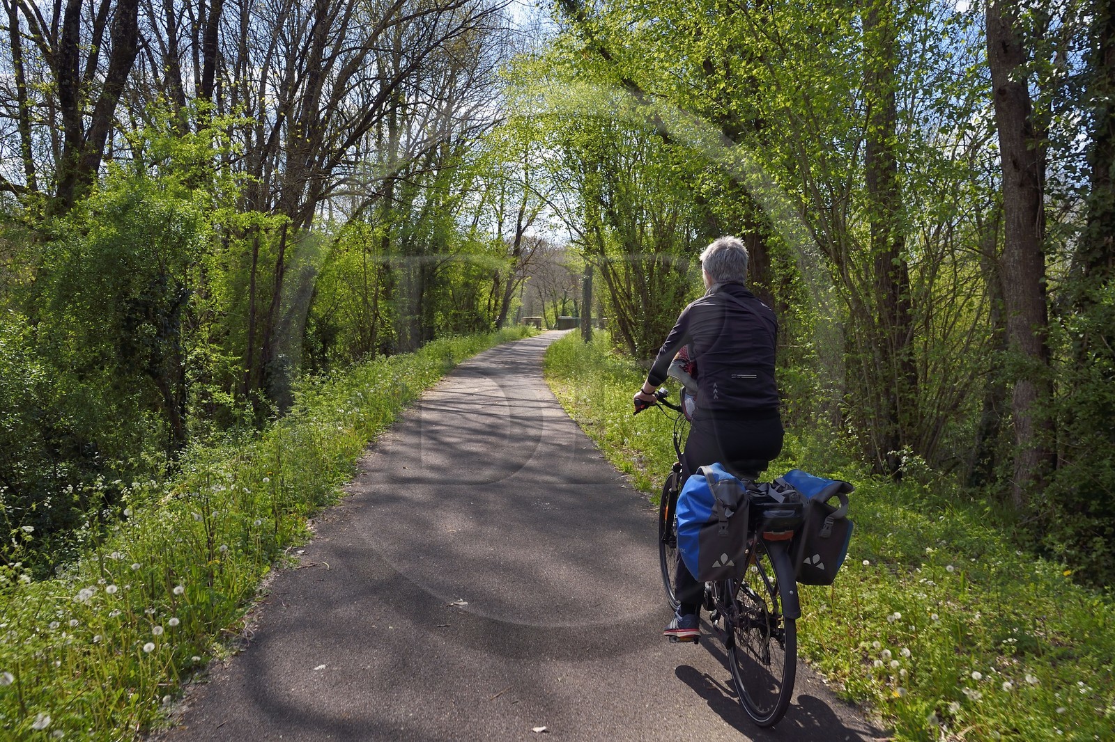 France, Charente (16), Saint-Germain-de-Montbron, cycliste sur la voie verte de la Coulée d’Oc (portion de la véloroute La Flow Vélo) sur le tracé d'une ancienne voie de chemin de fer