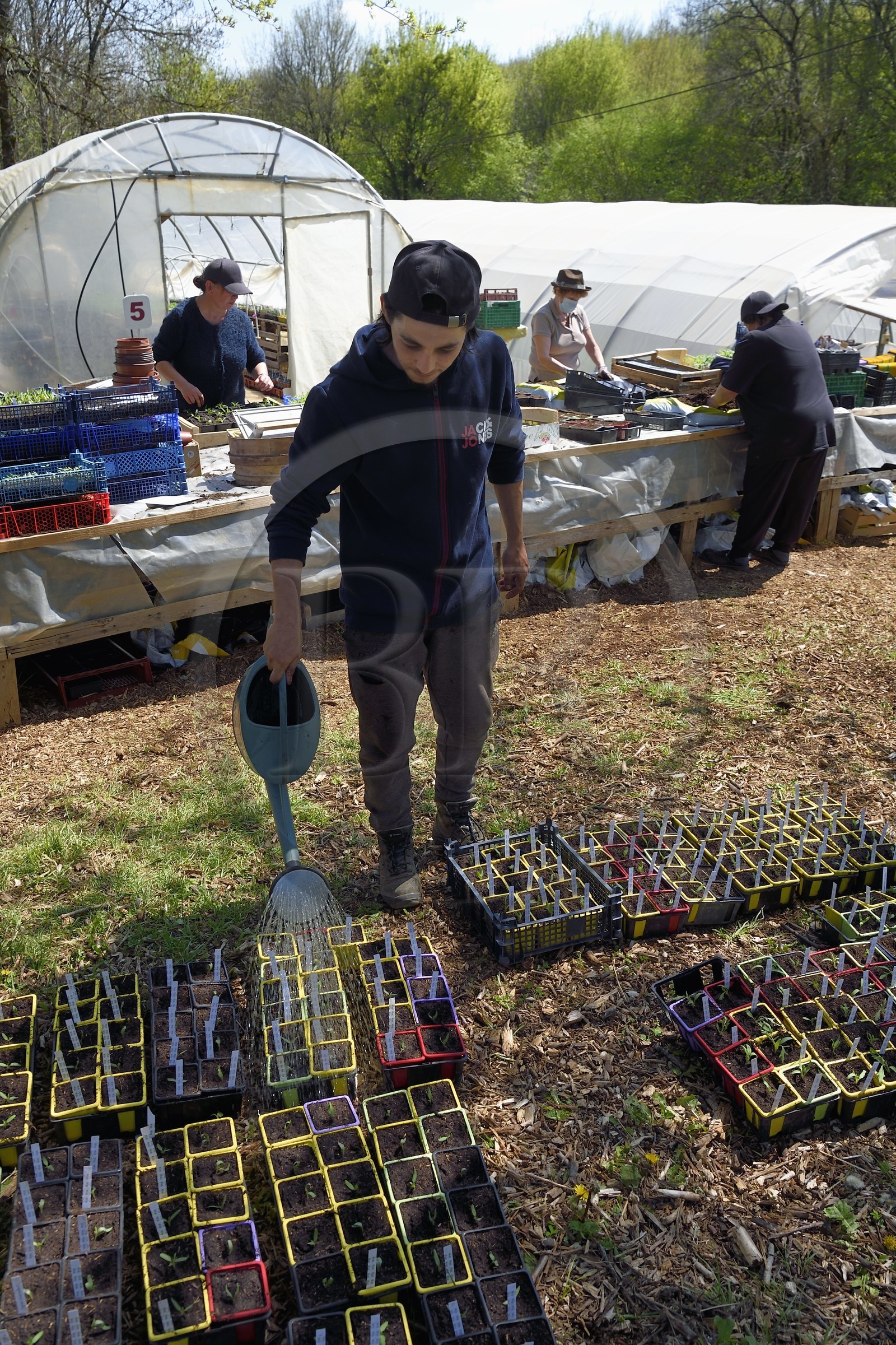 France, Charente (16), Souffrignac, Les Jardins du Bandiat, une ferme spécialisée maraîchage Bio et labellisée Agriculture Biologique fonctionne au travers d'un chantier d'insertion créé par l'association CIDIL